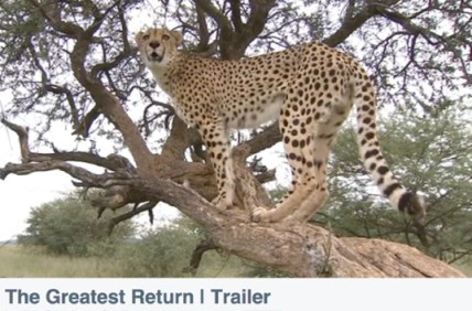 View the trailer for "The Greatest Return"